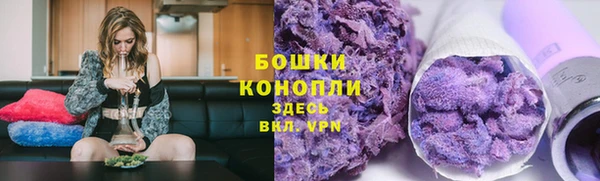 дурь Бронницы