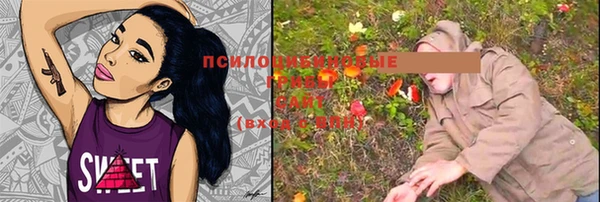 дурь Бронницы