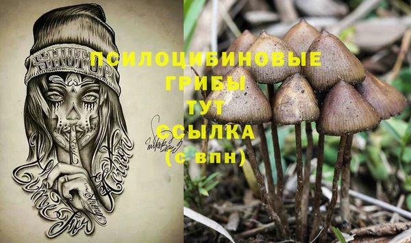 стаф Сосновка