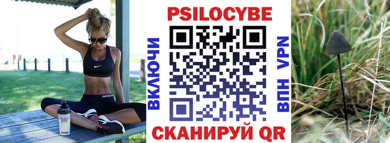 как найти наркотики  Медногорск  Галлюциногенные грибы GOLDEN TEACHER 